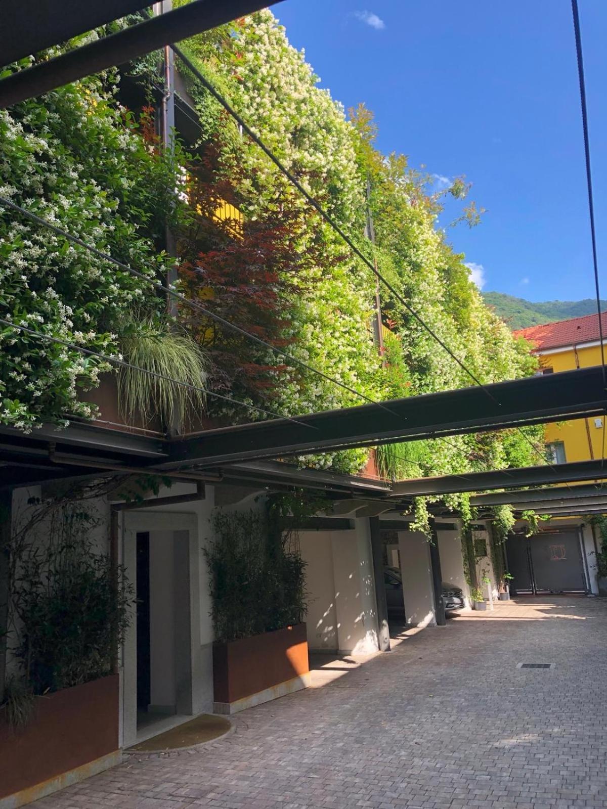 Residence Casa Coppa Appartamento Iris Omegna Exterior foto